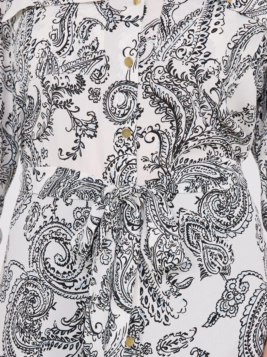 Paisley Print Chiffon Belted Tunic Blouse
